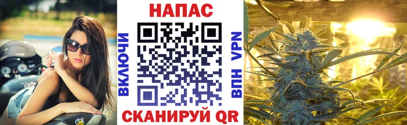 Купить наркотики Новая Ладога ГАШ  СОЛЬ  Амфетамин  Меф мяу мяу 