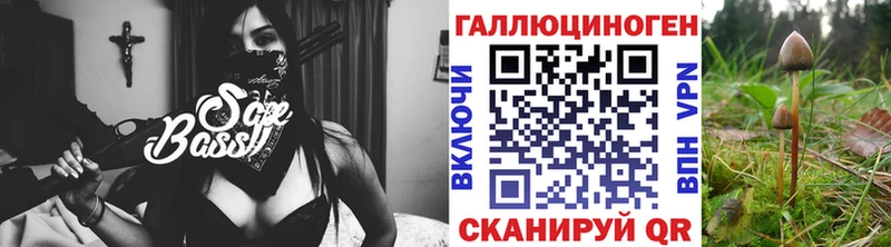 Псилоцибиновые грибы Magic Shrooms  Новая Ладога 