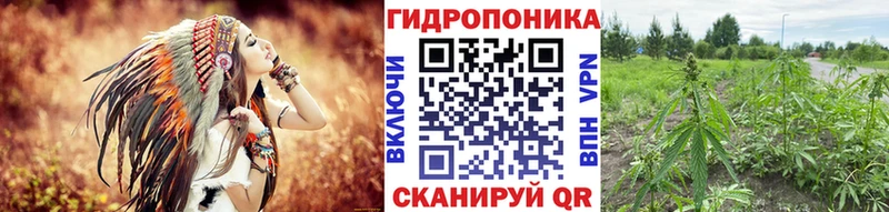 купить закладку  Новая Ладога  Шишки марихуана MAZAR 